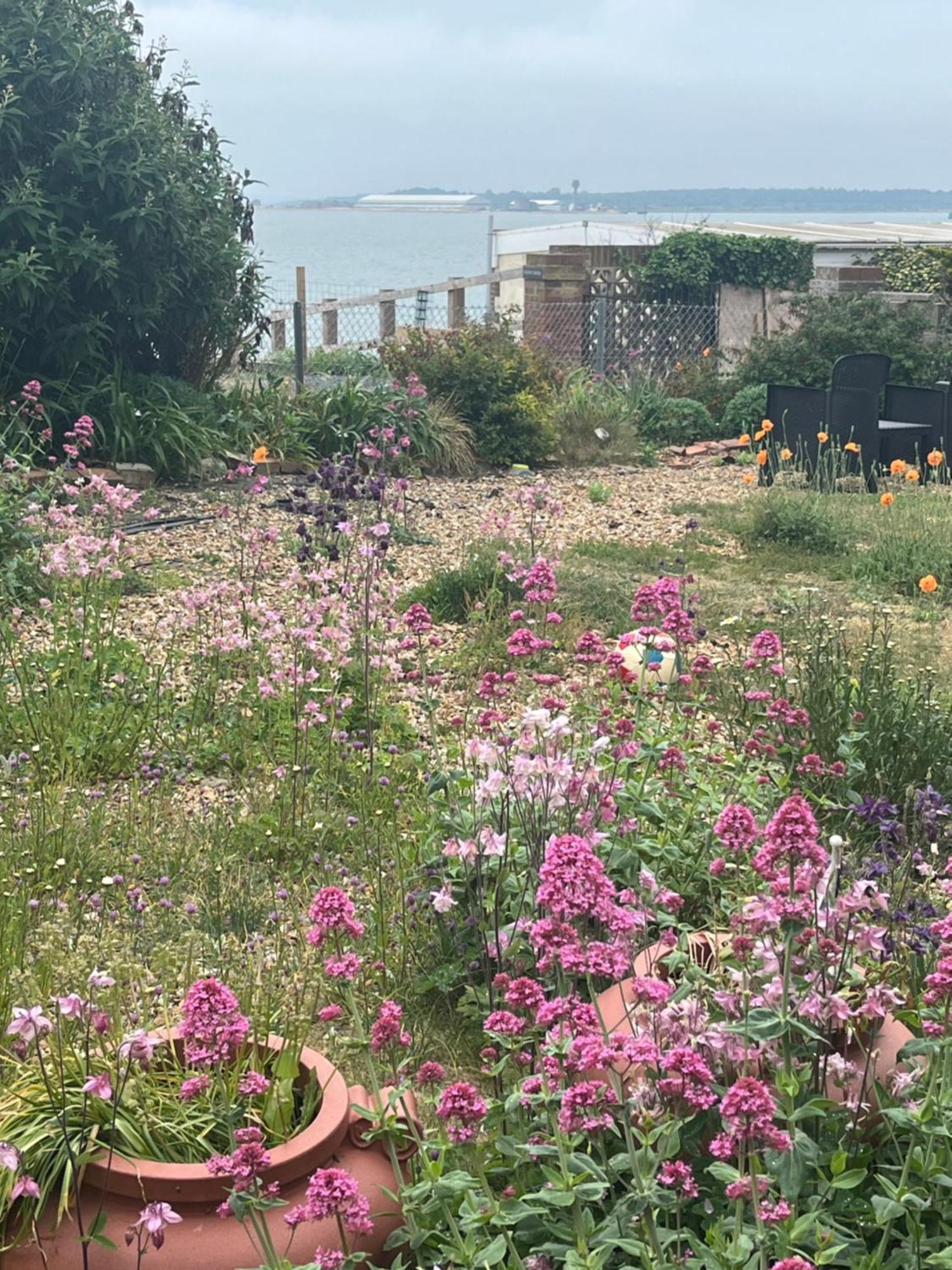 Cove Cott Guest Accommodation Warsash Eksteriør bilde
